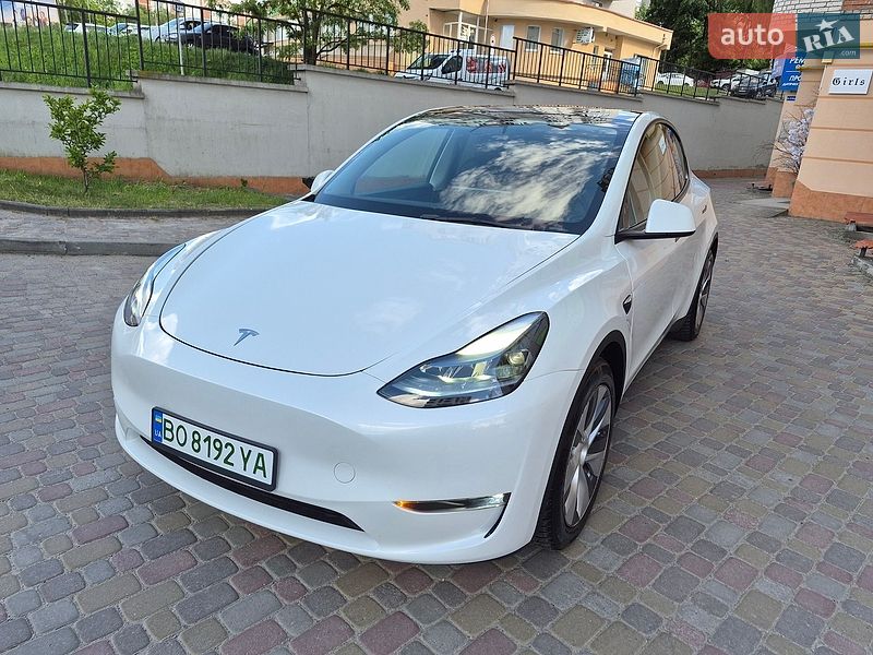 2023 Tesla Model Y, VIN 7SAYGDEE7PF661825:plate — фото 1 (autoria)