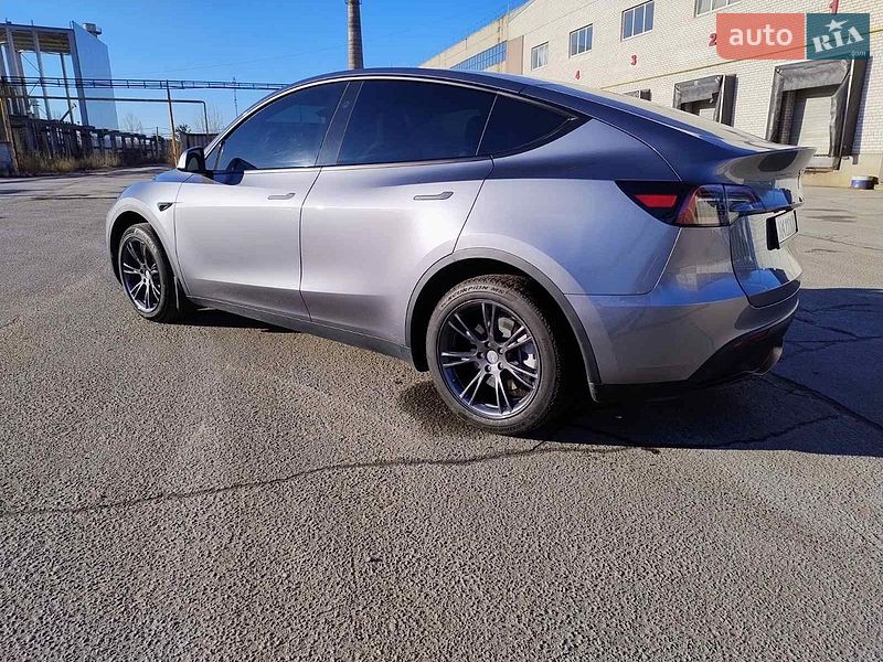 Внедорожник / Кроссовер Tesla Model Y 2024 в Житомире