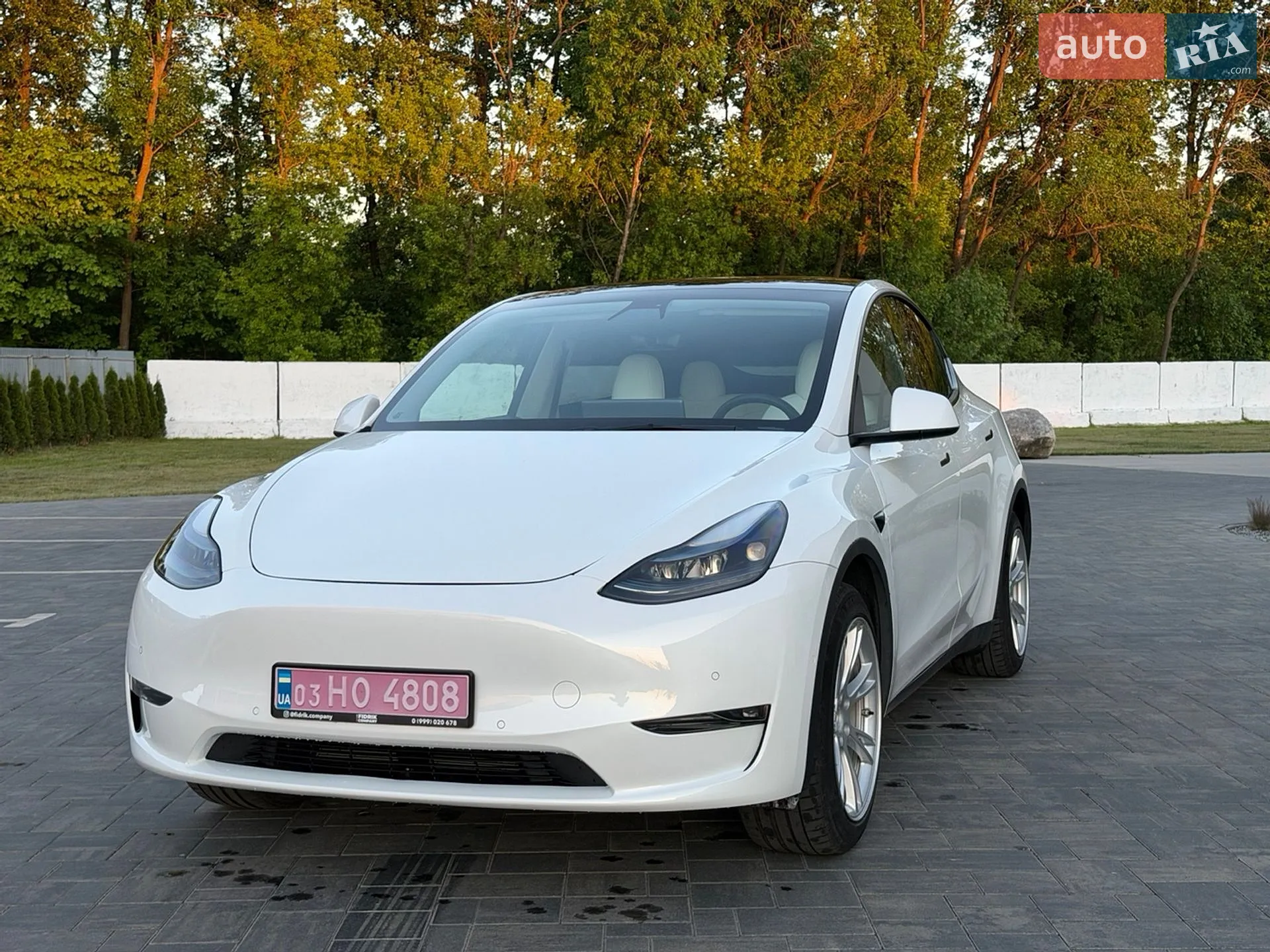 2021 Tesla Model Y - мініатюра 2