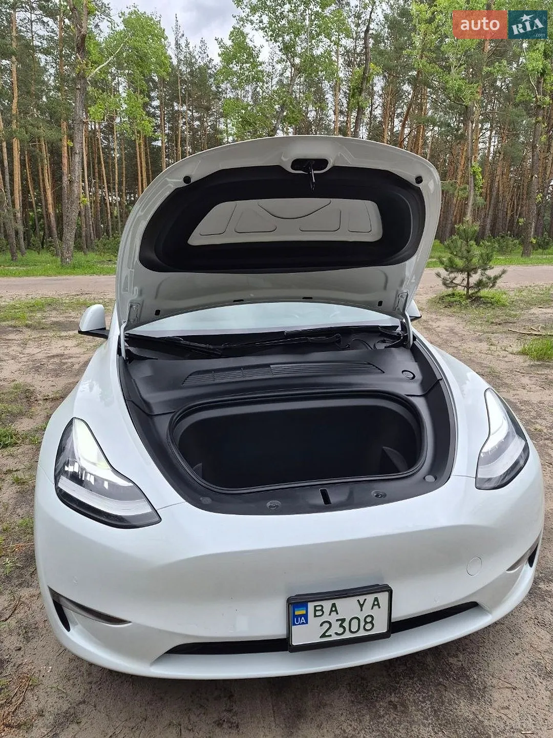 2021 Tesla Model Y - мініатюра 12