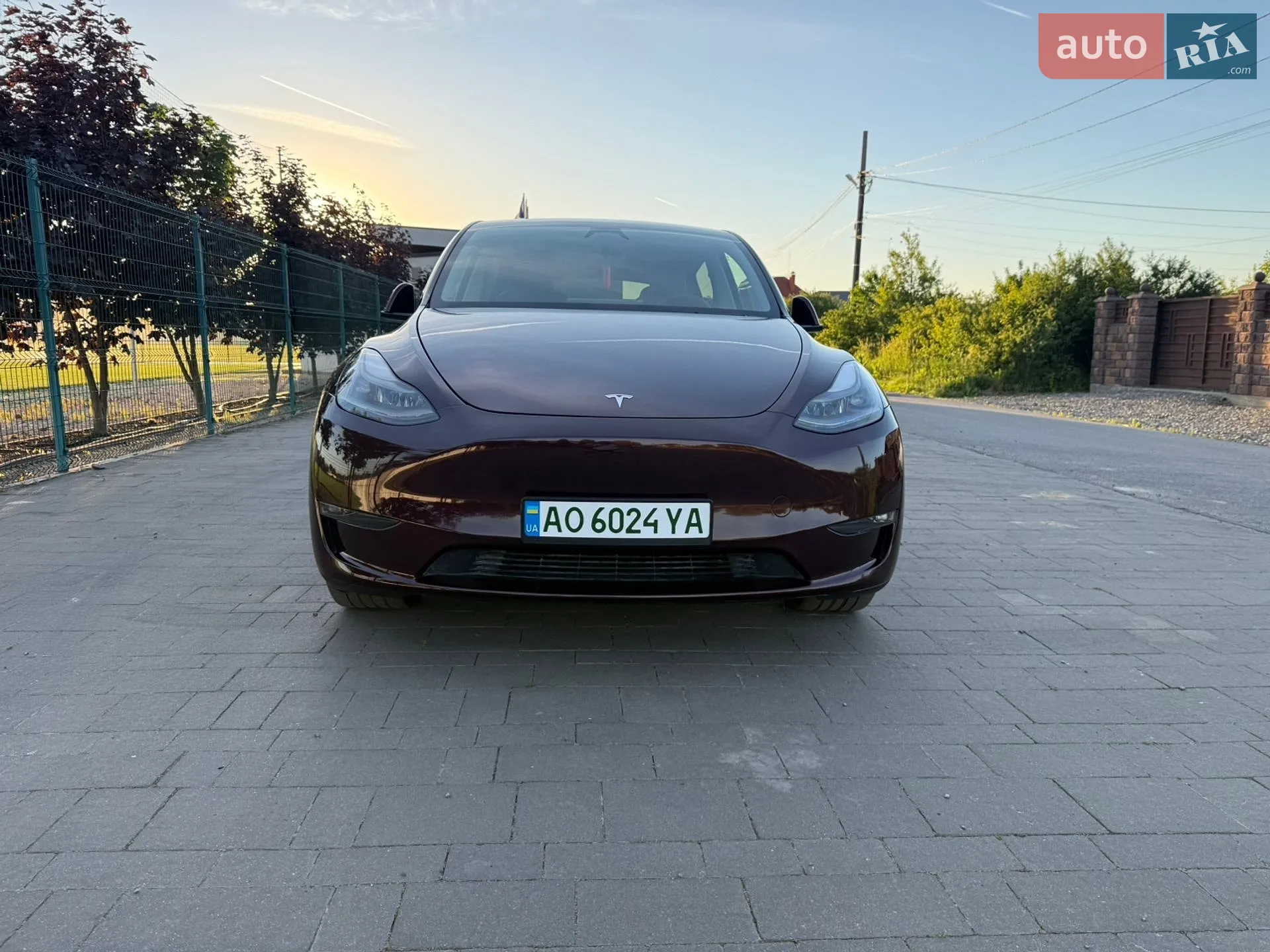 2024 Tesla Model Y - фото 1