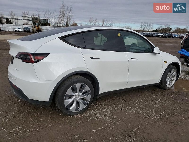 Позашляховик / Кросовер Tesla Model Y 2023 в Кропивницькому
