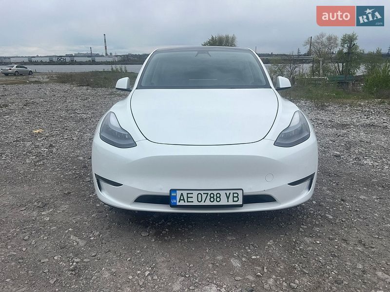2021 Tesla Model Y, VIN 5YJYGDEE1MF190991:plate — фото 1 (autoria)