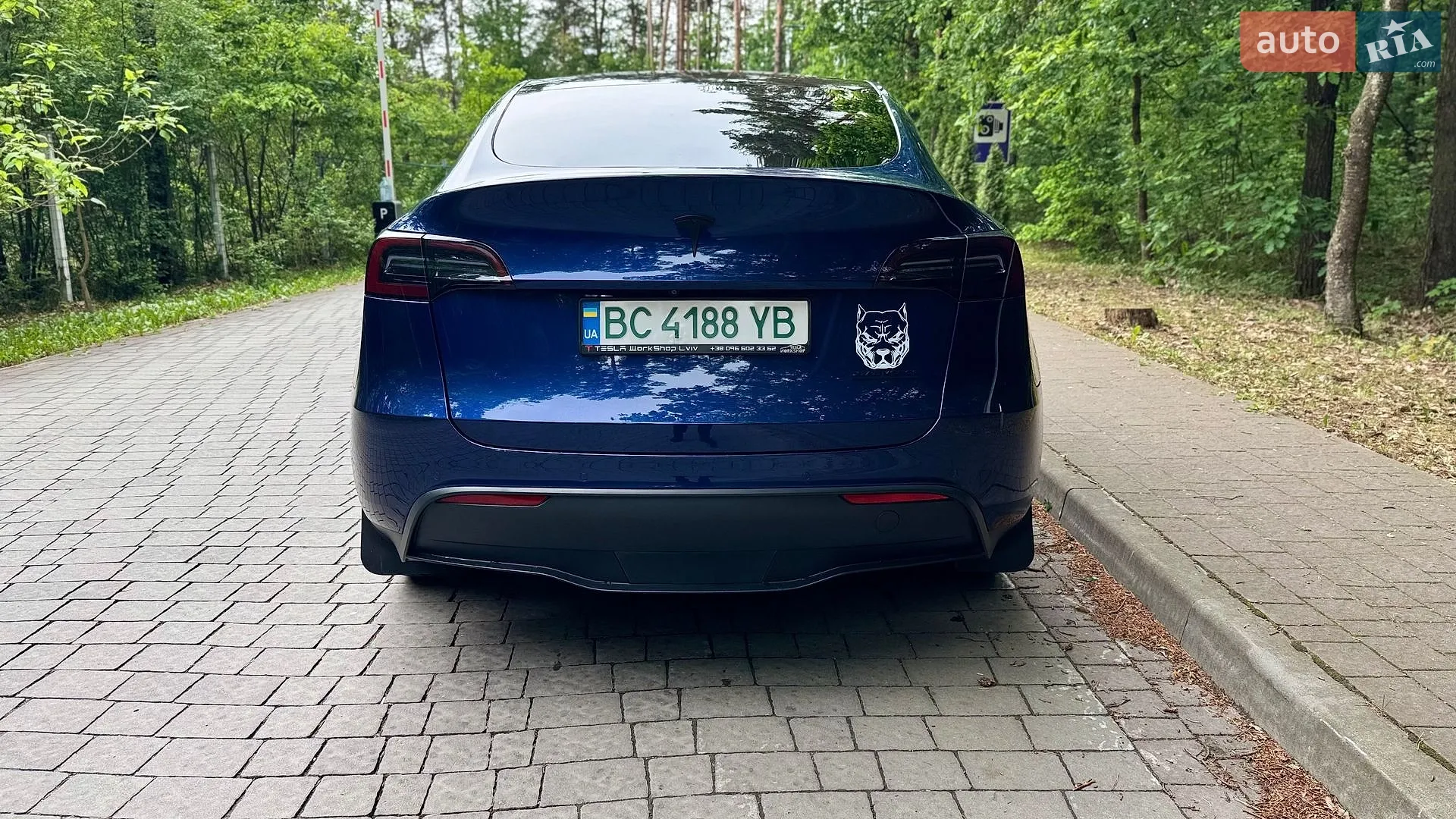 2021 Tesla Model Y - мініатюра 6
