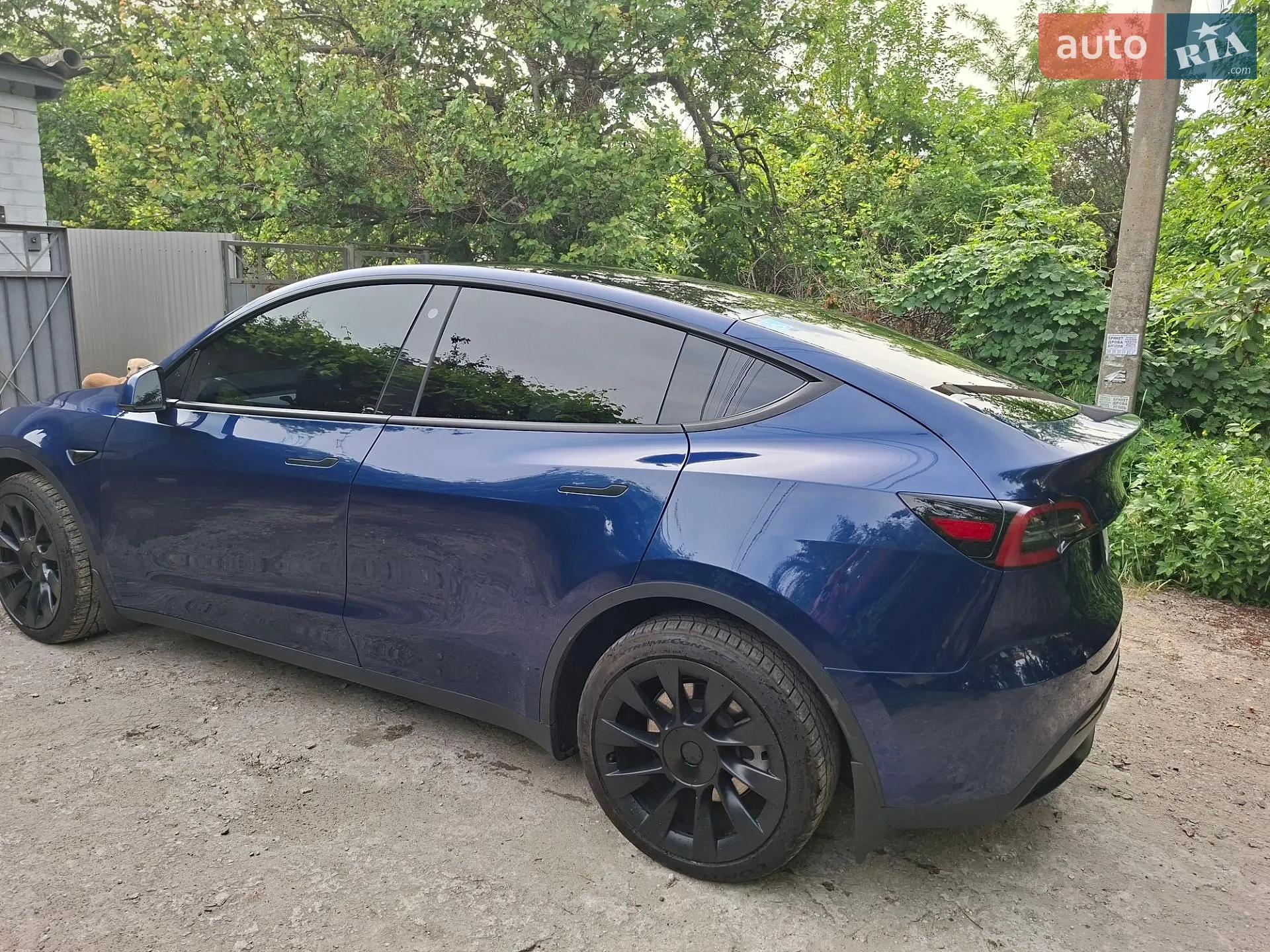 2022 Tesla Model Y - мініатюра 15