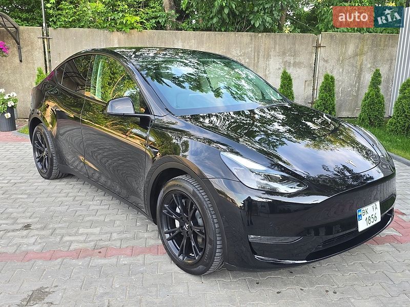2021 Tesla Model Y, VIN 5YJYGDEE0MF240652:plate — фото 1 (autoria)