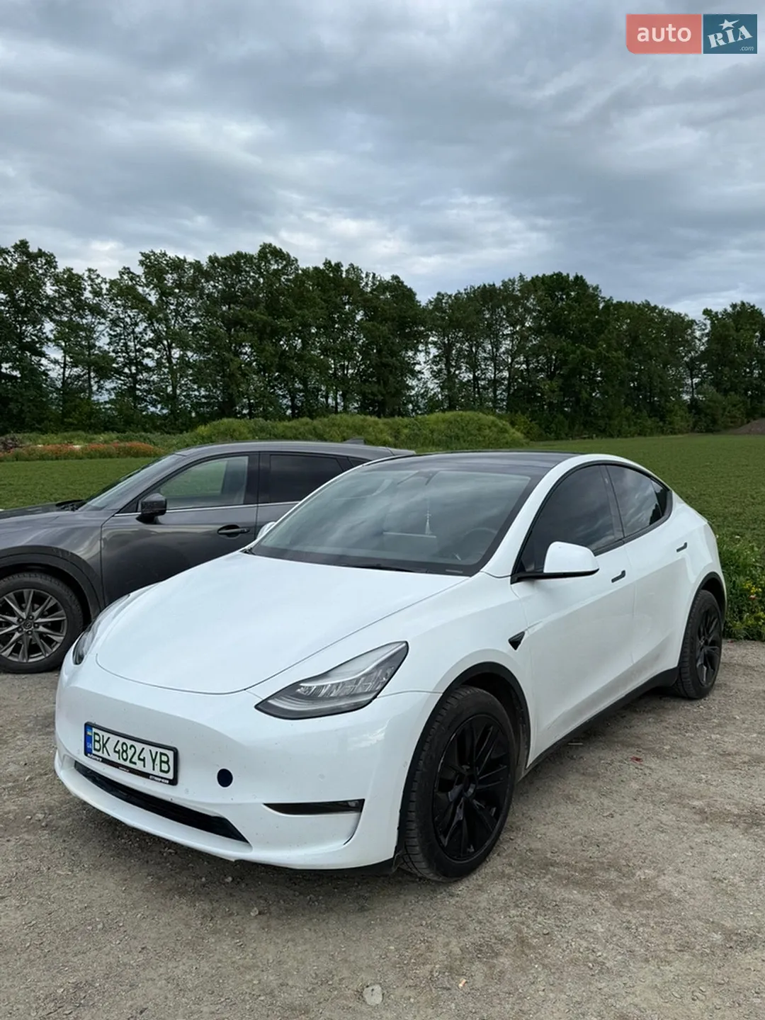 2021 Tesla Model Y - мініатюра 17