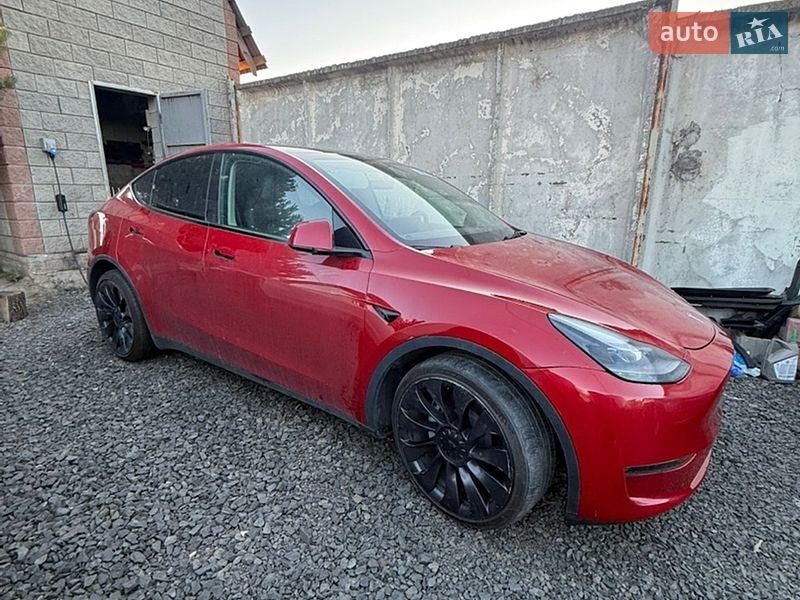 2023 Tesla Model Y, VIN 7SAYGAEE2PF893621:plate — фото 1 (autoria)