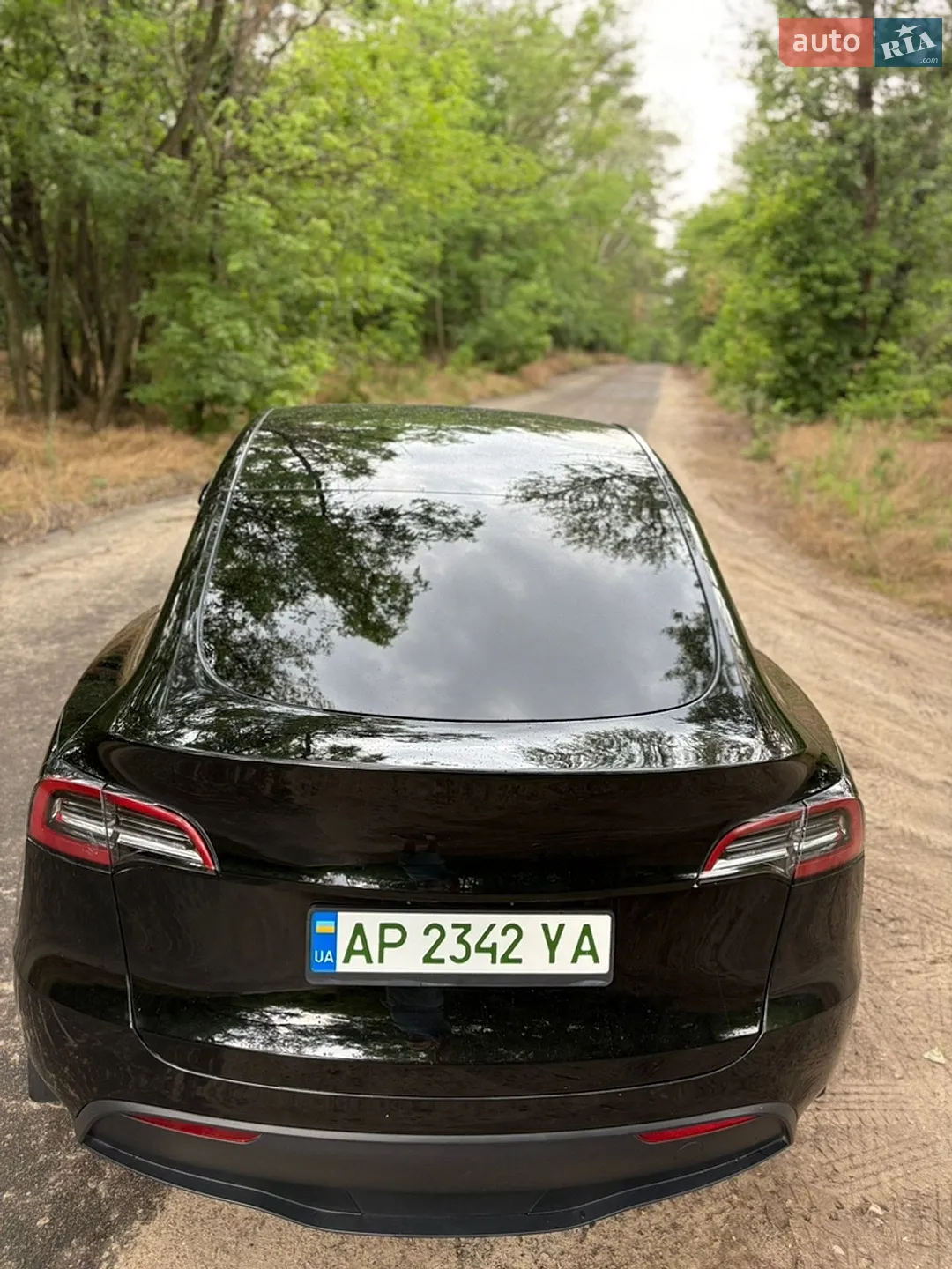 2024 Tesla Model Y - мініатюра 3