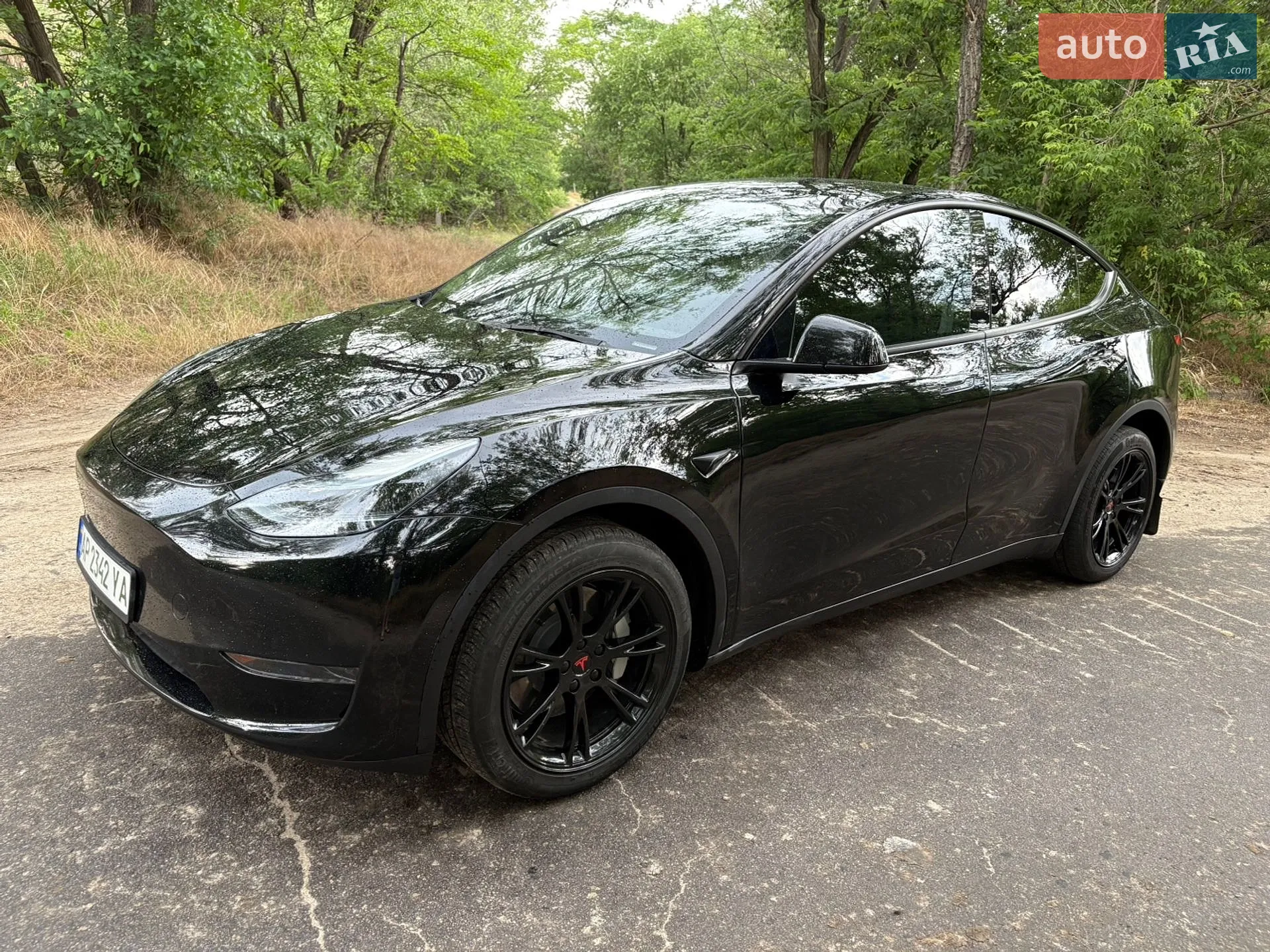 2024 Tesla Model Y - мініатюра 11