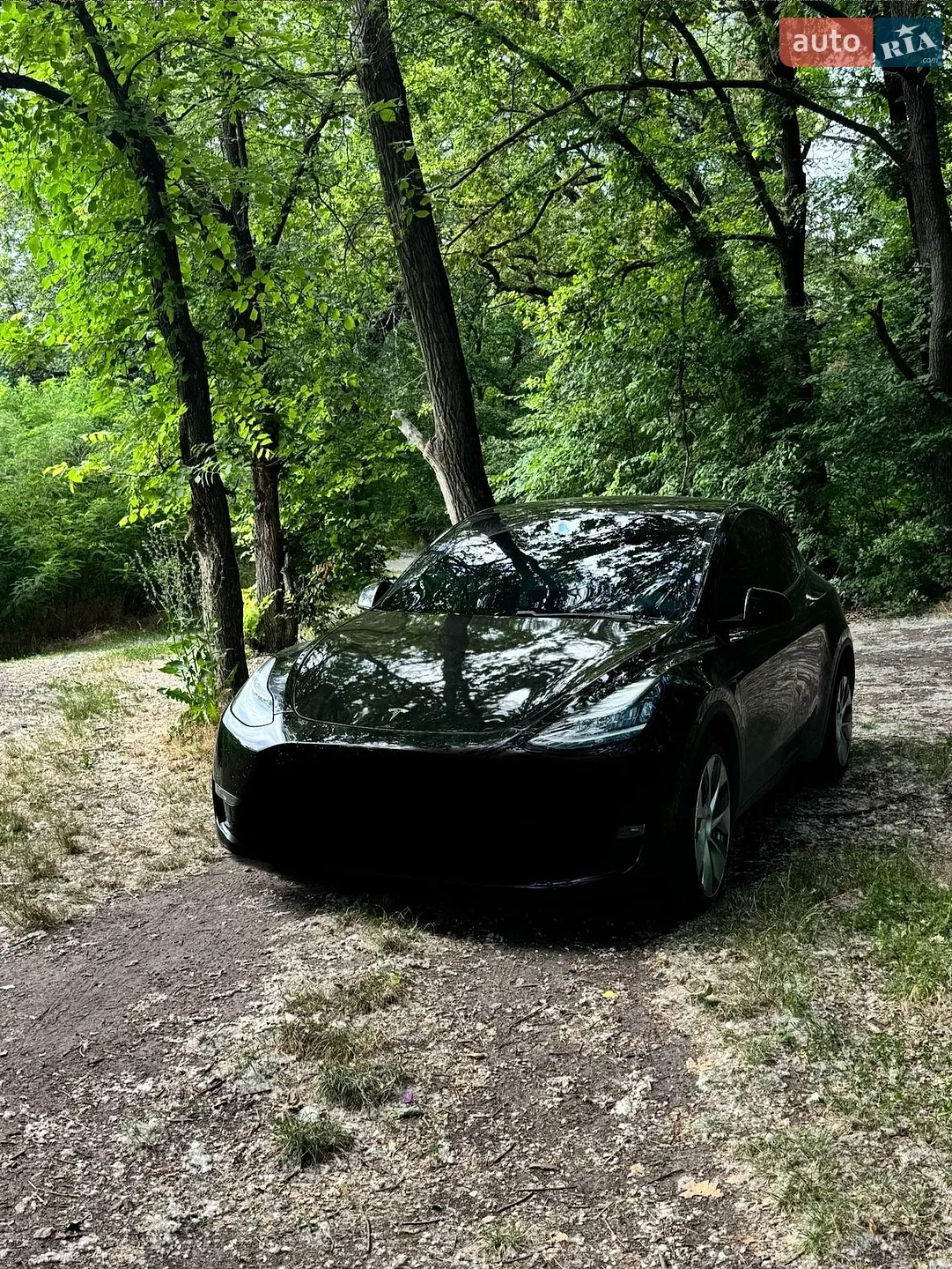 2020 Tesla Model Y - фото 1