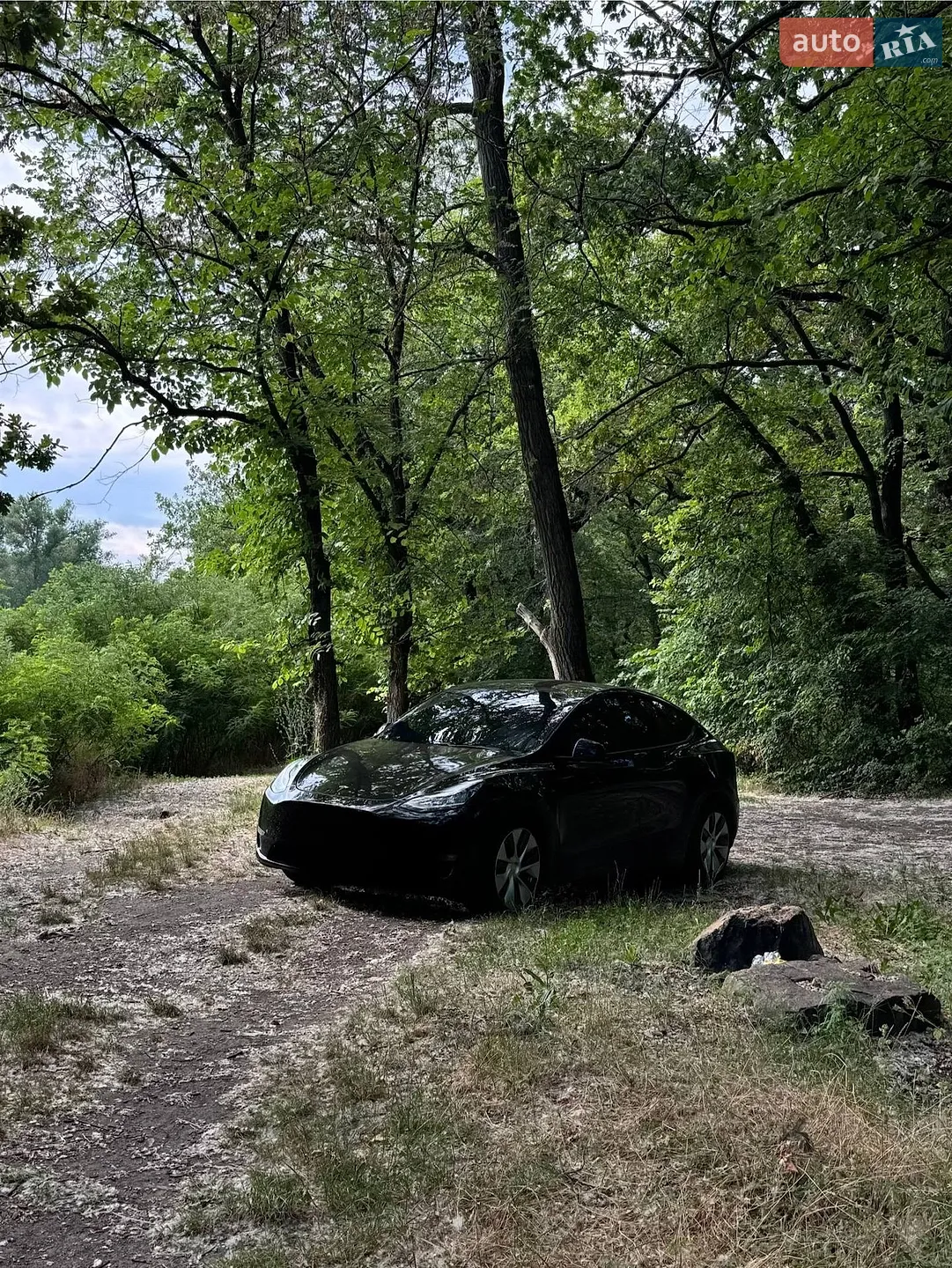 2020 Tesla Model Y - мініатюра 3