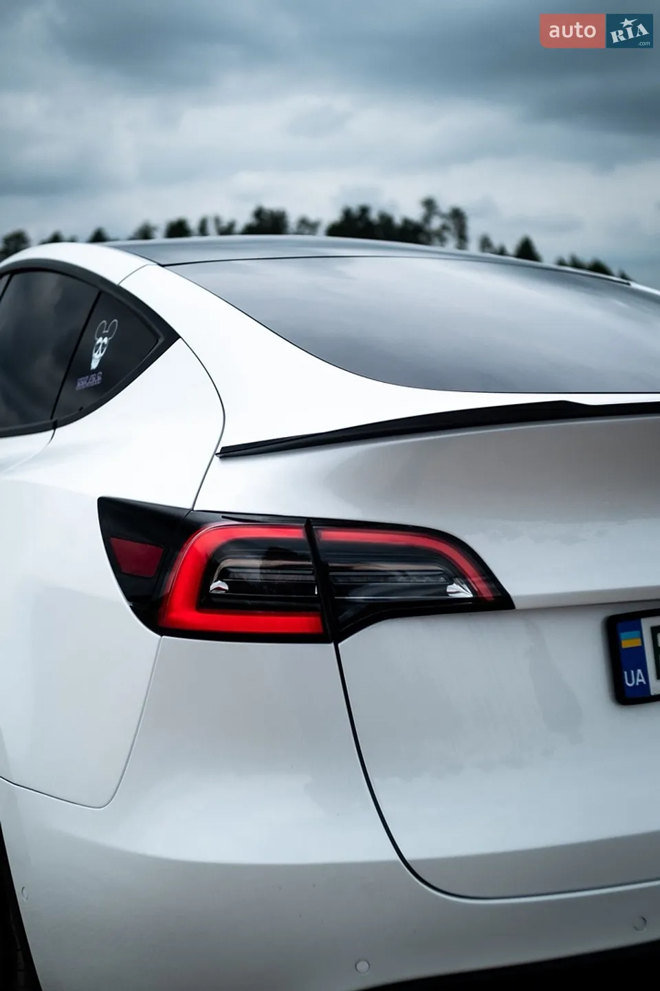 2020 Tesla Model Y - мініатюра 11