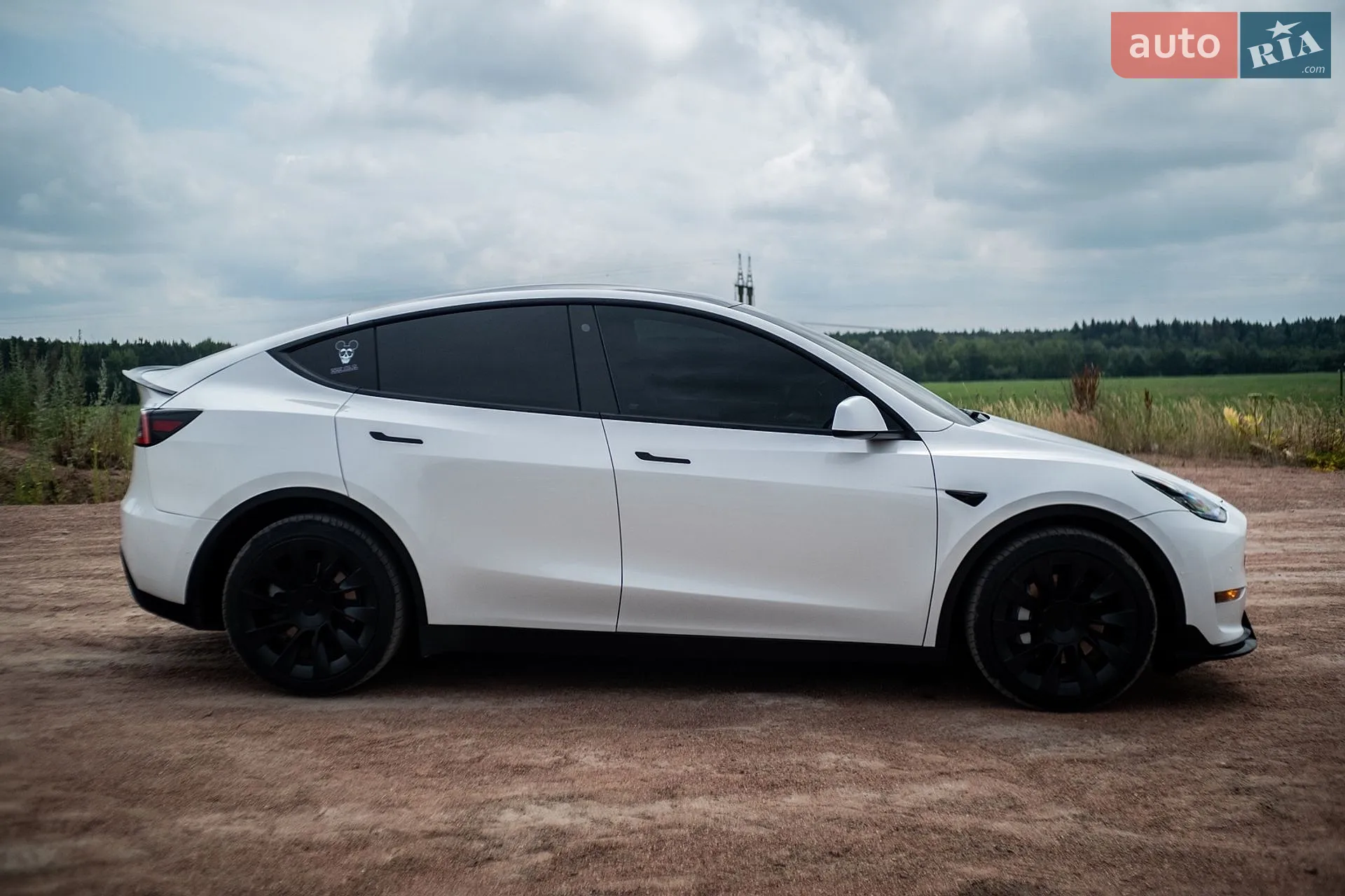 2020 Tesla Model Y - мініатюра 45