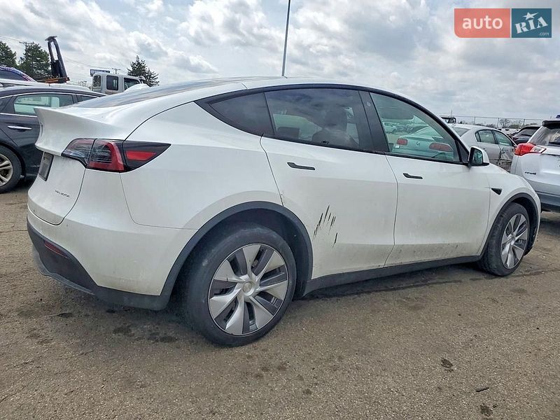Внедорожник / Кроссовер Tesla Model Y 2023 в Самборе