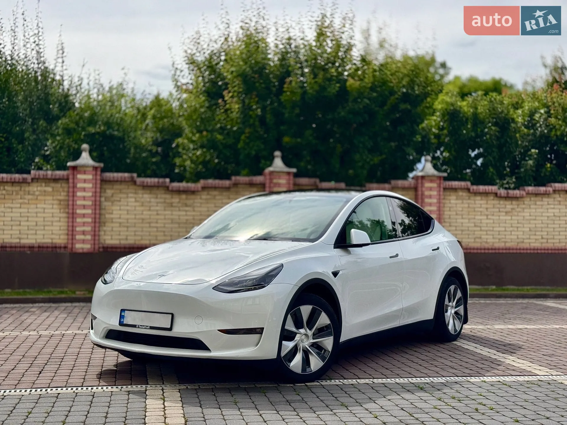 2024 Tesla Model Y - фото 1