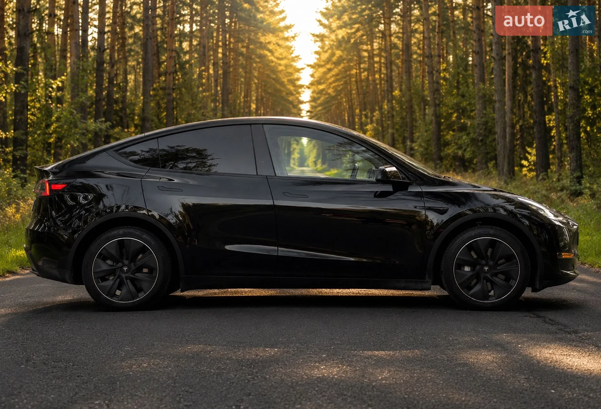 2024 Tesla Model Y - мініатюра 6