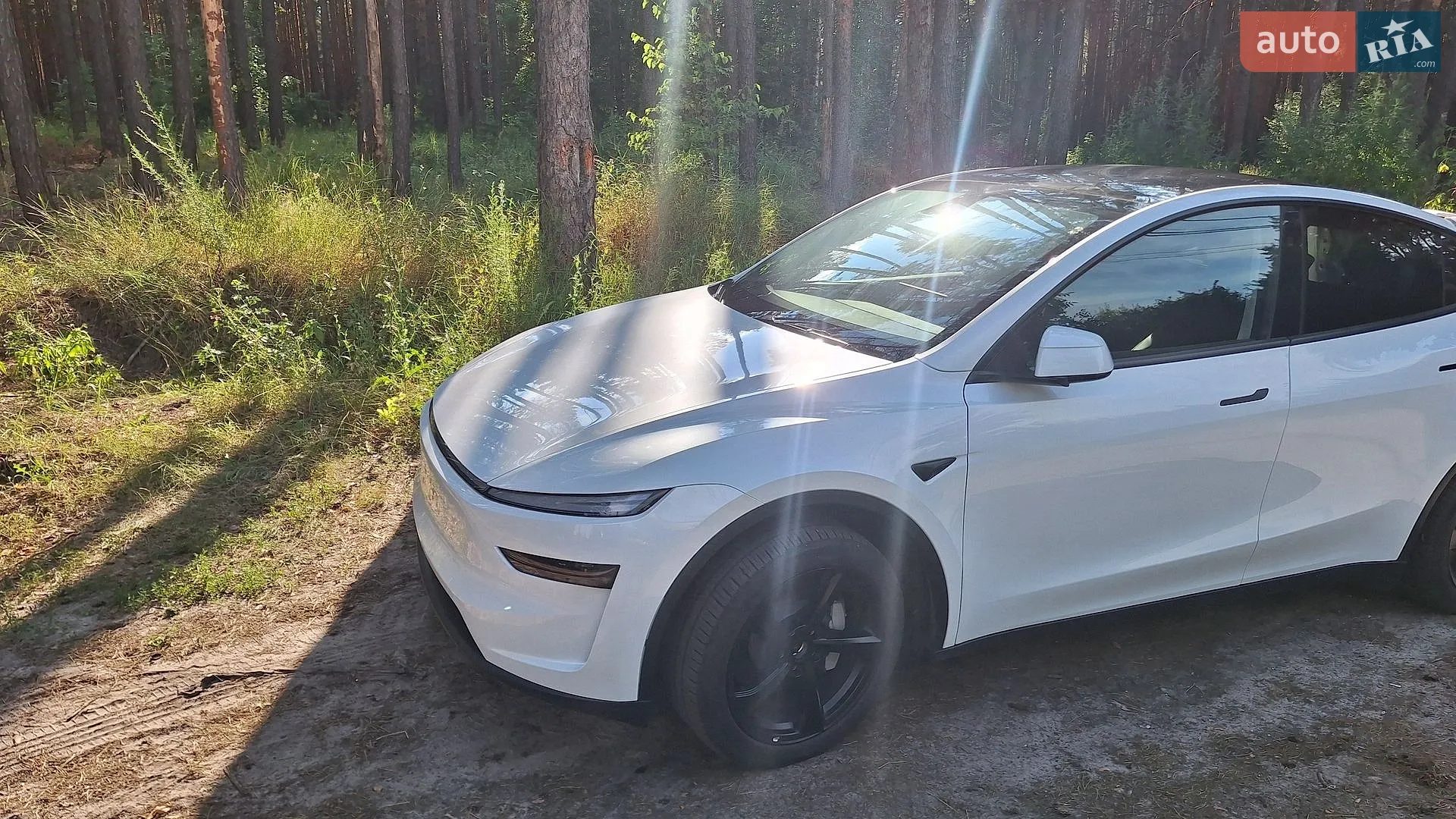 2025 Tesla Model Y - мініатюра 16