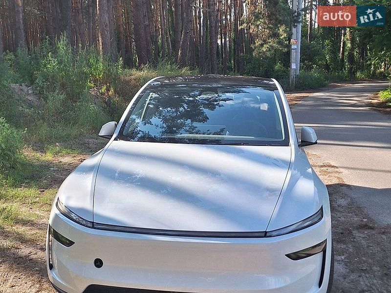 Внедорожник / Кроссовер Tesla Model Y 2025 в Вышгороде