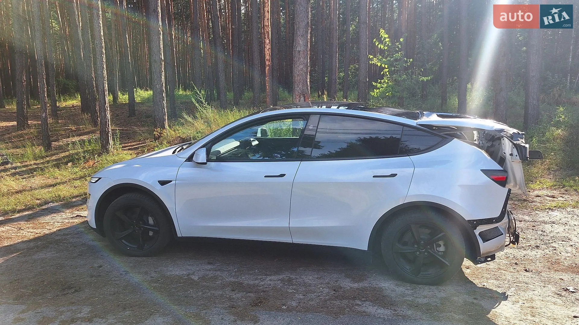 2025 Tesla Model Y - мініатюра 18