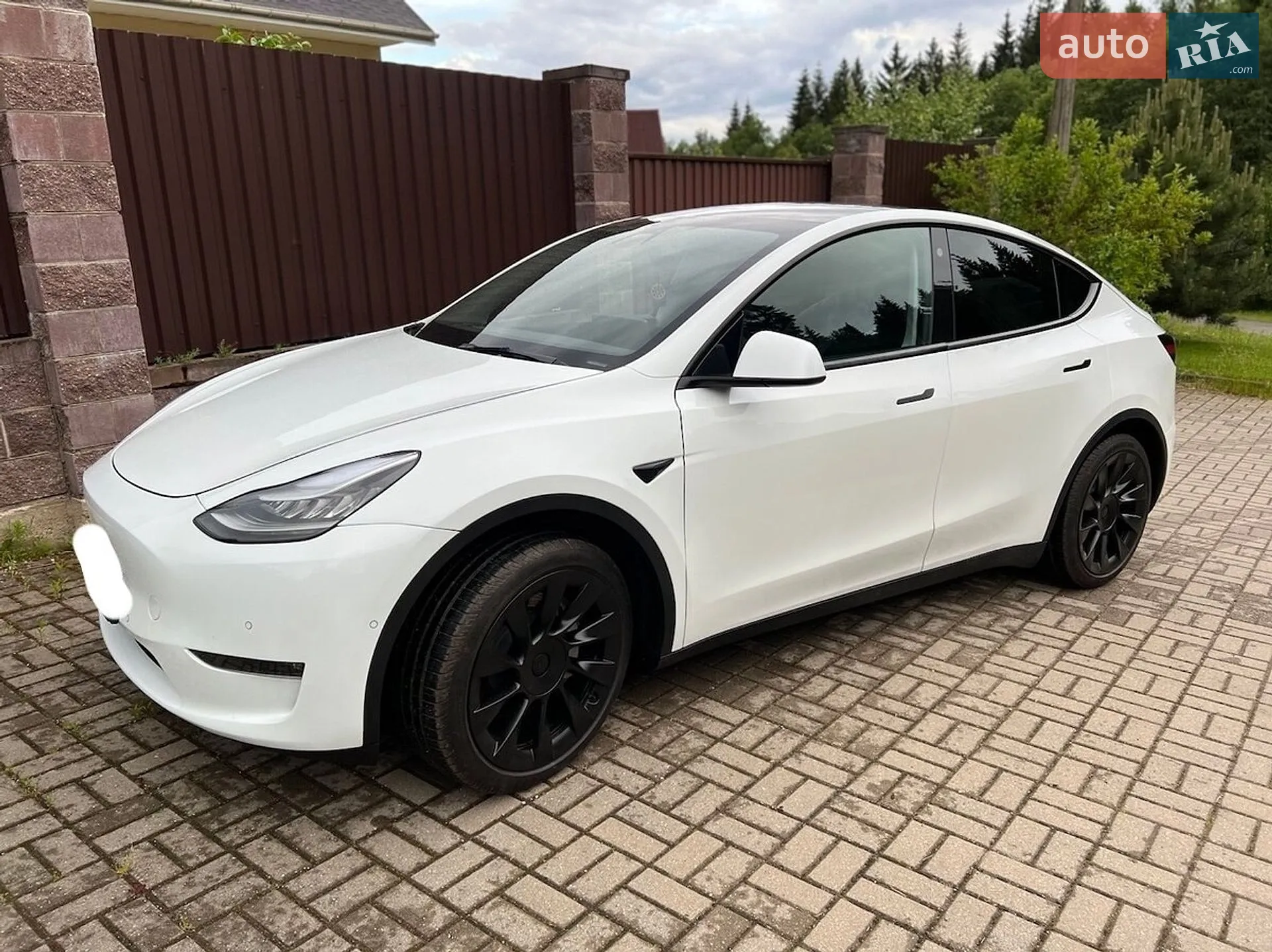 2023 Tesla Model Y - мініатюра 2