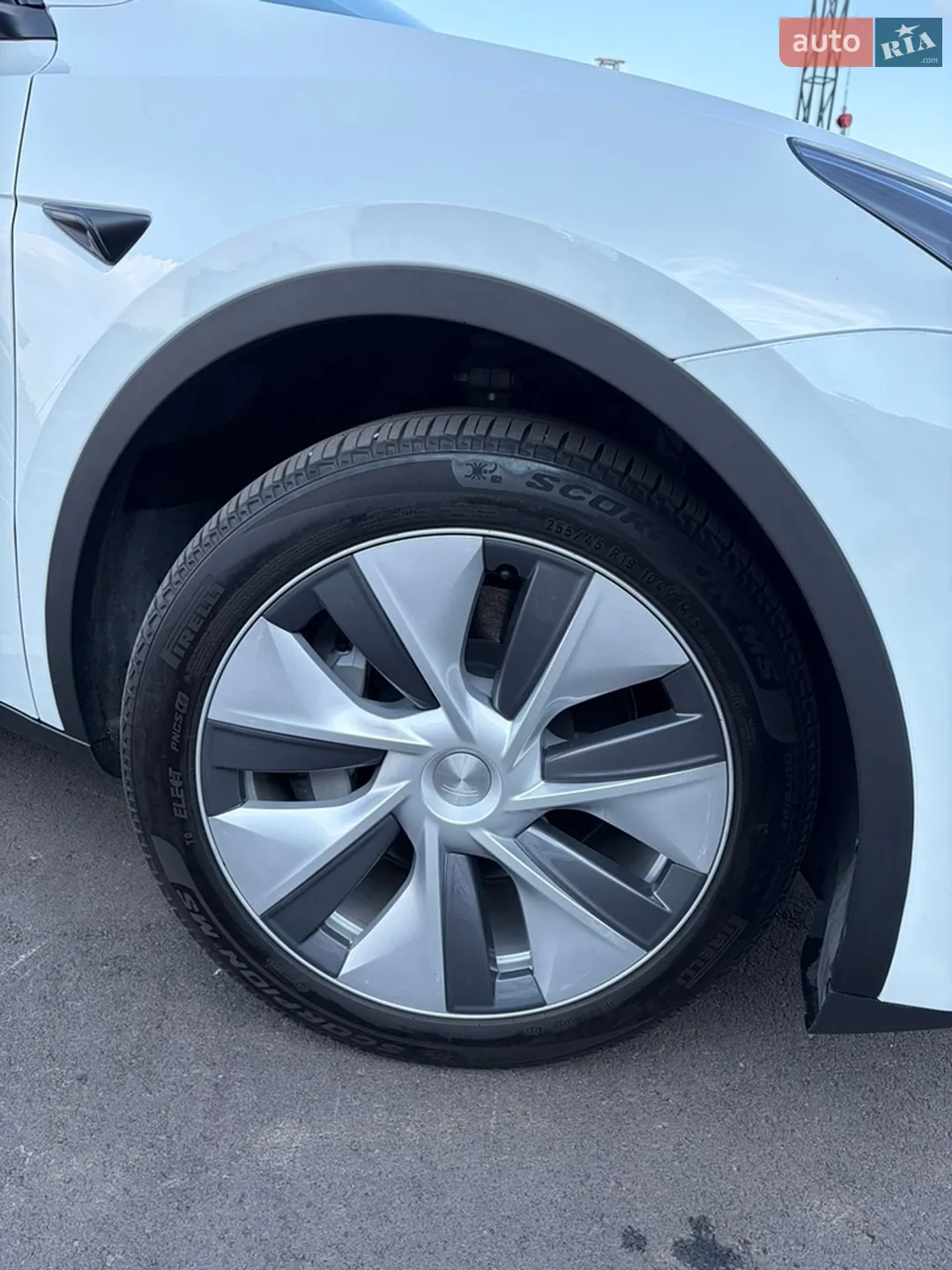 2023 Tesla Model Y - мініатюра 6