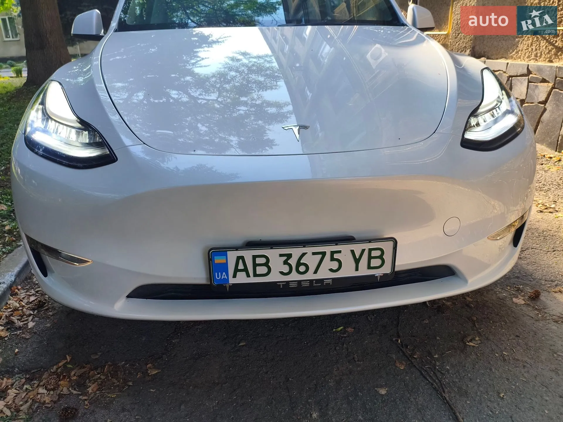 2023 Tesla Model Y - мініатюра 12