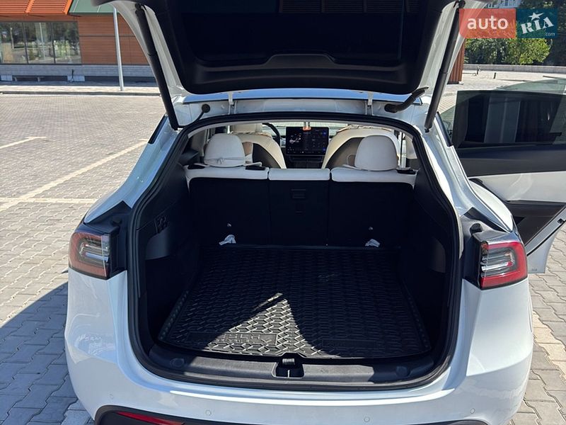 Позашляховик / Кросовер Tesla Model Y 2021 в Кривому Розі