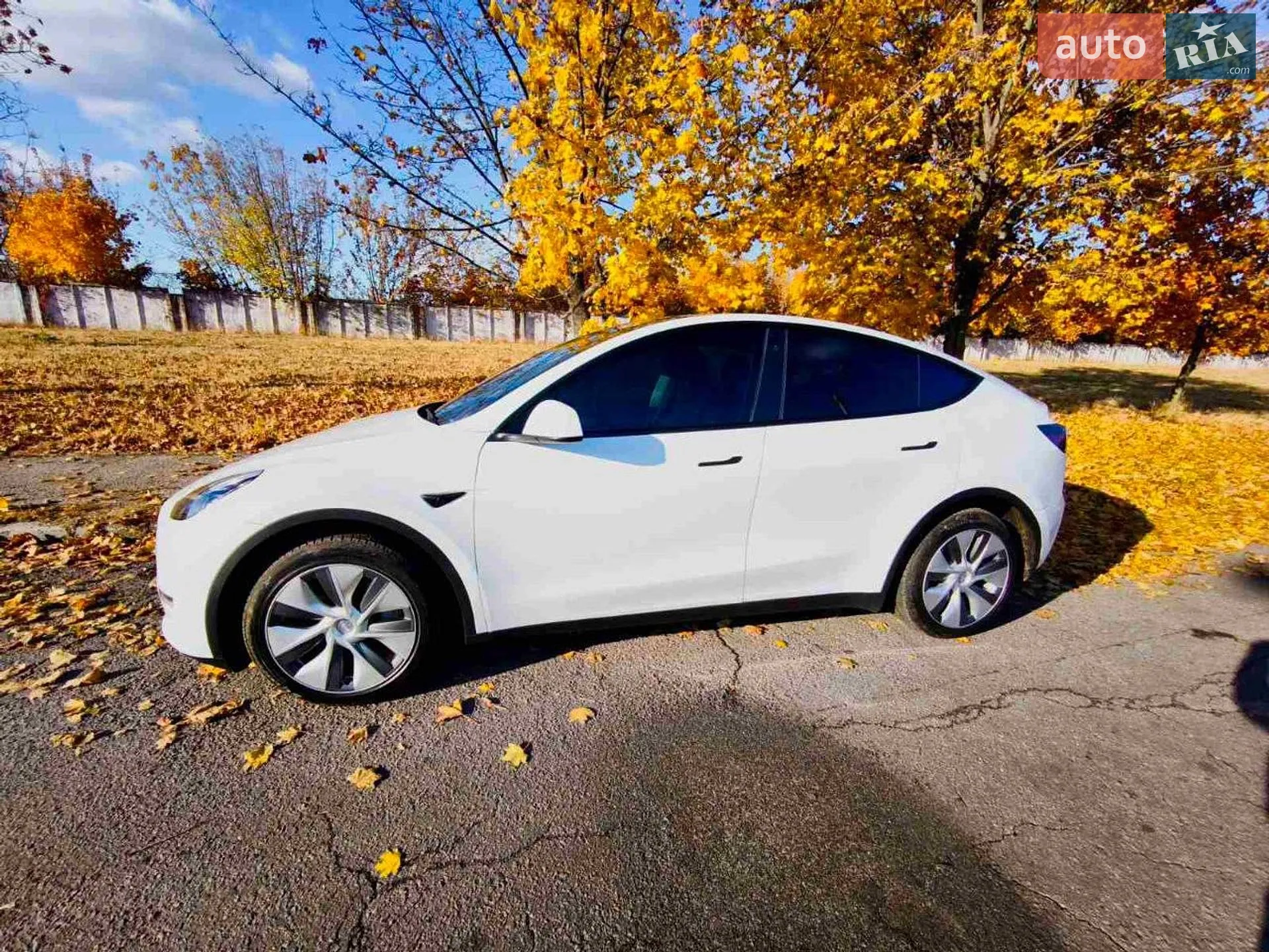 2023 Tesla Model Y - мініатюра 2