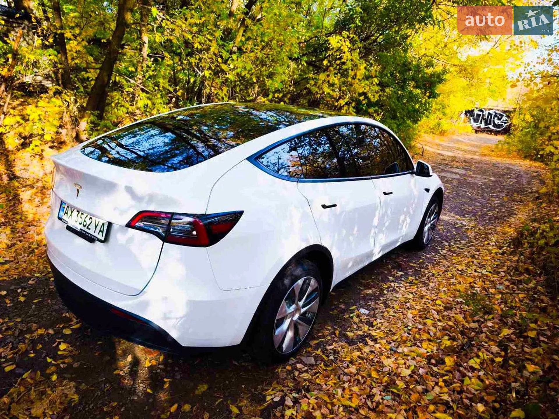2023 Tesla Model Y - мініатюра 7