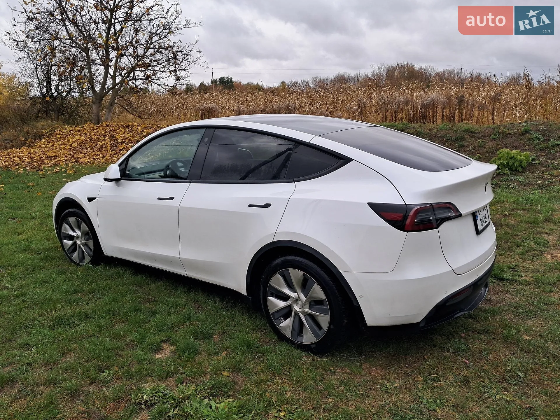 2021 Tesla Model Y - мініатюра 4