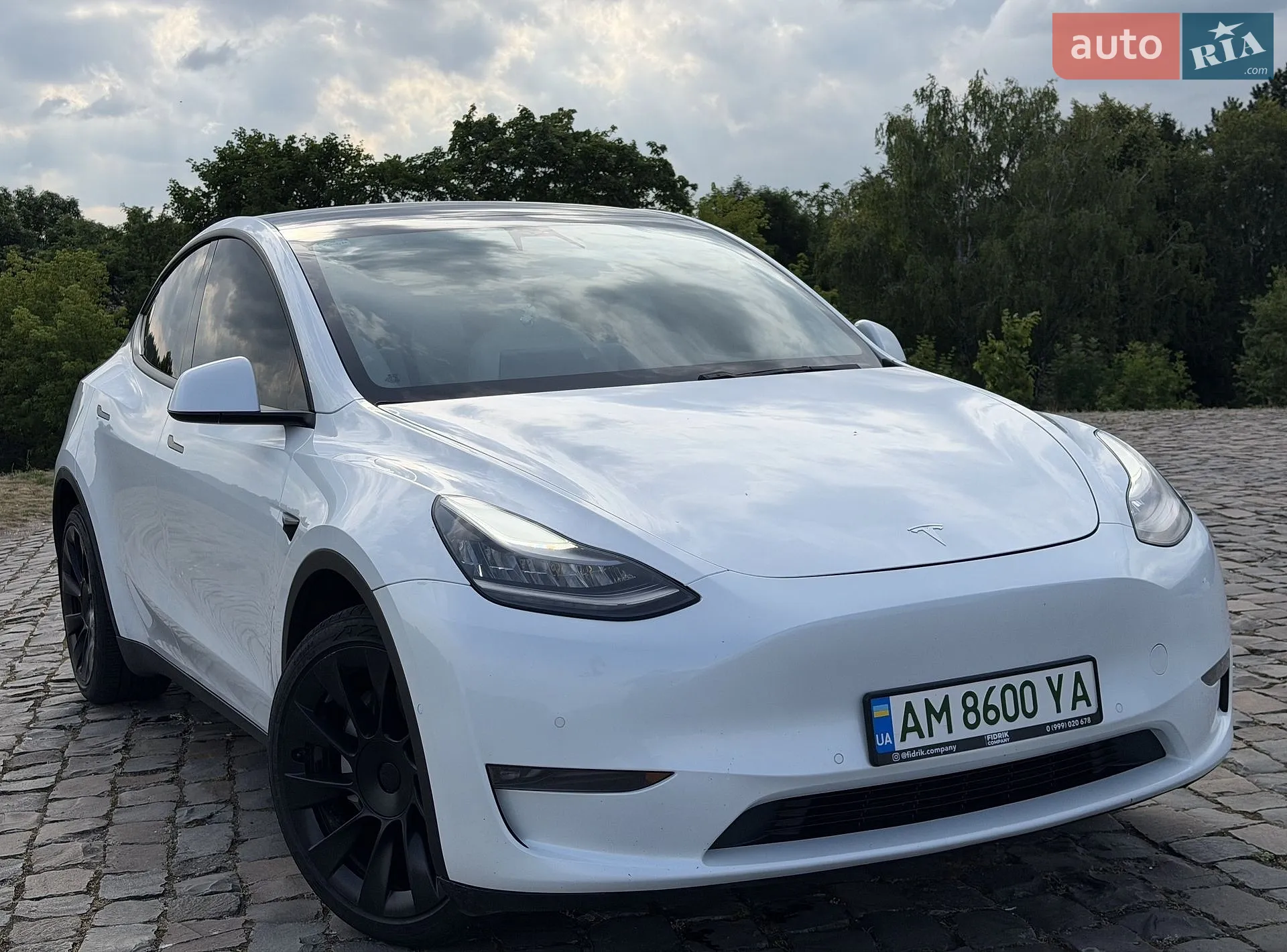 2020 Tesla Model Y - мініатюра 7