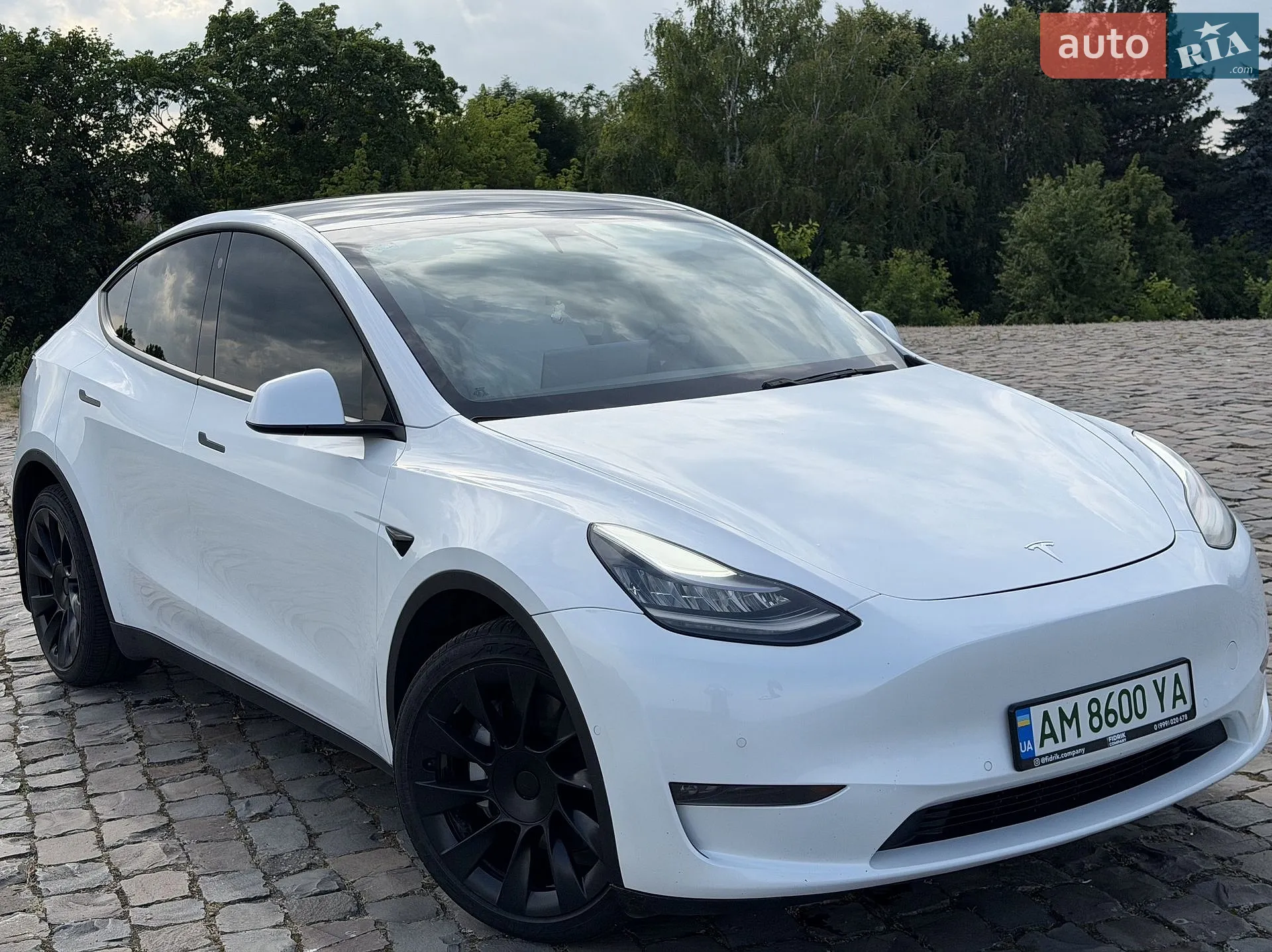2020 Tesla Model Y - мініатюра 9