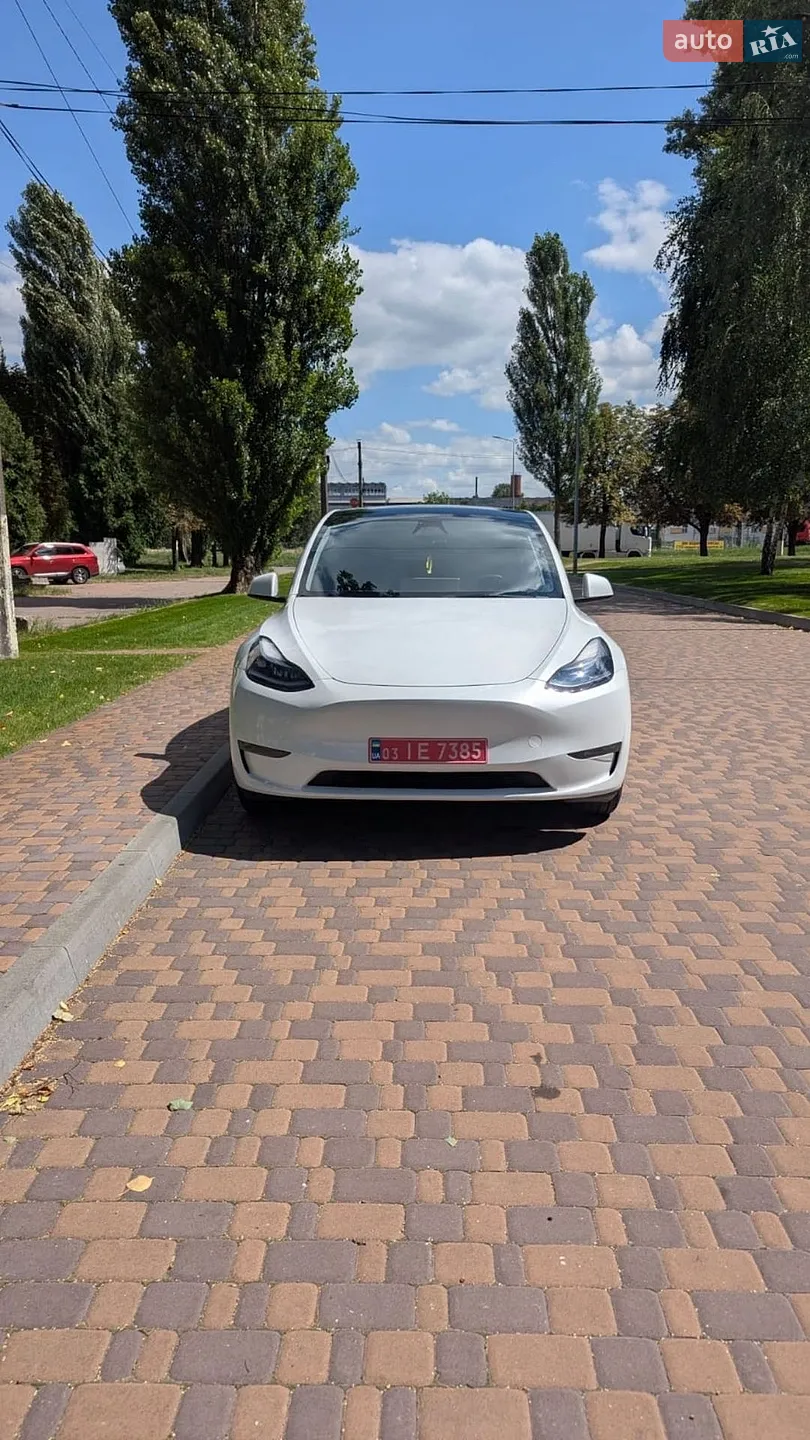 2023 Tesla Model Y - фото 1
