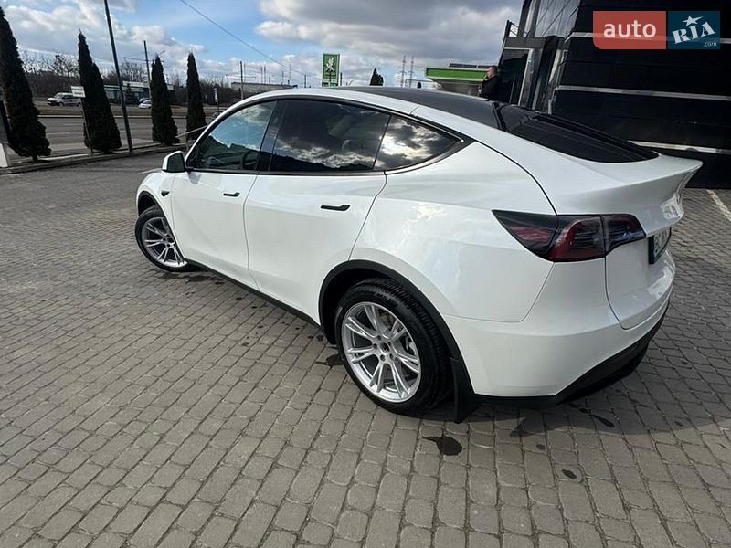 Позашляховик / Кросовер Tesla Model Y 2024 в Львові