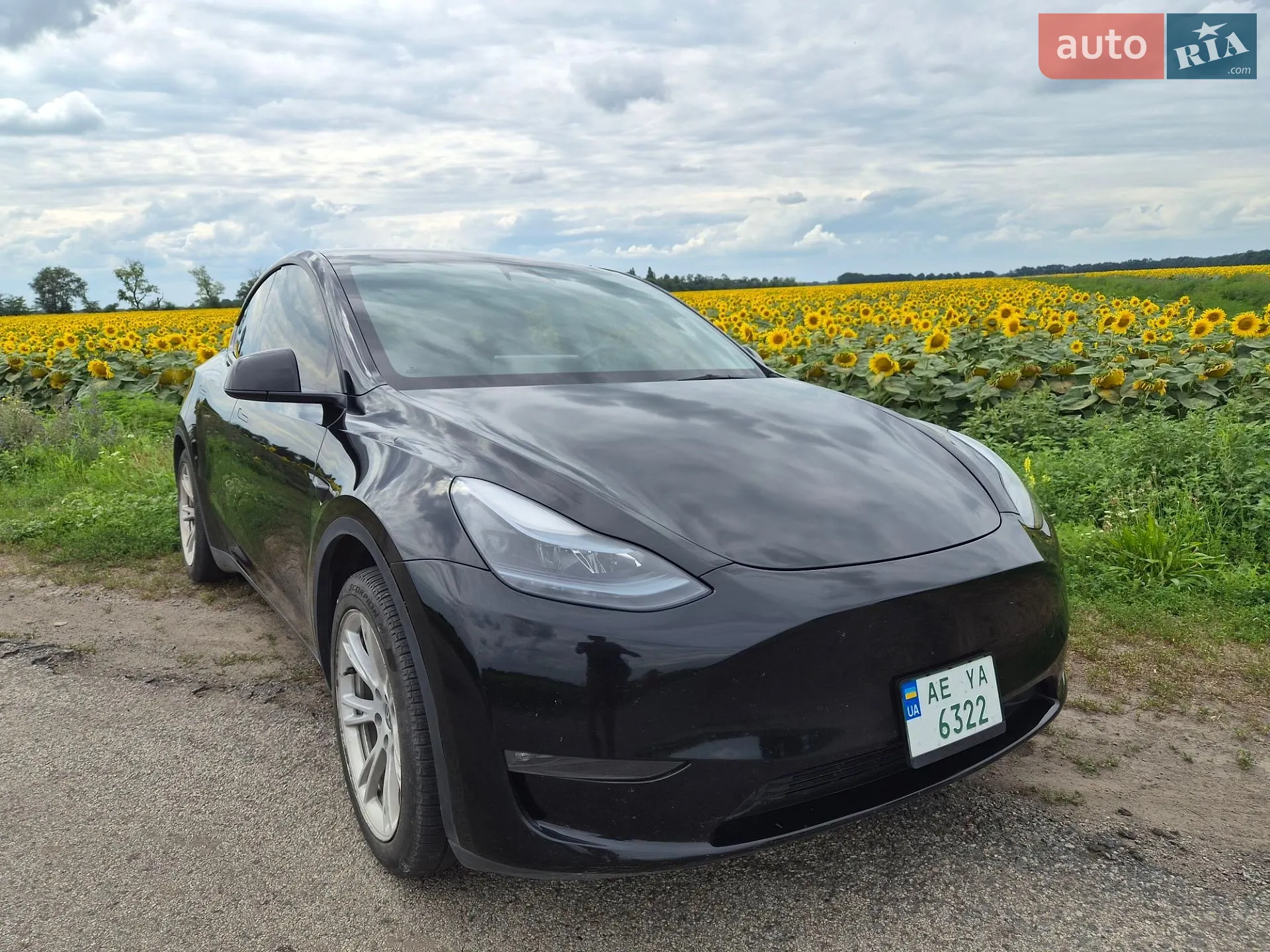 Tesla Model Y 2025 VIN 7SAYGDEE1TA388405 фото оголошення 6 з 20