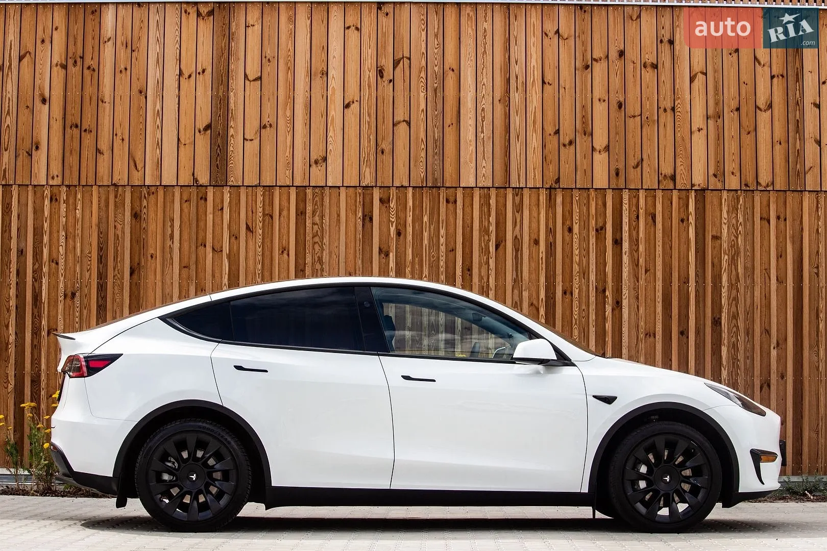 2024 Tesla Model Y - мініатюра 13