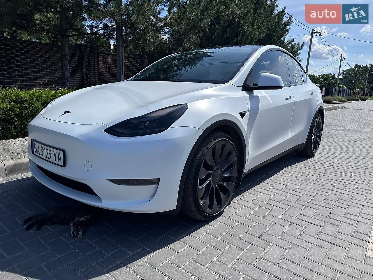2020 Tesla Model Y - мініатюра 58