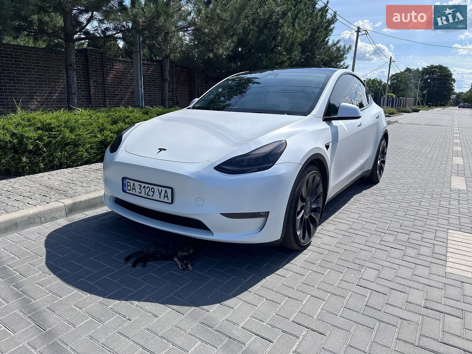 2021 Tesla Model Y - мініатюра 2