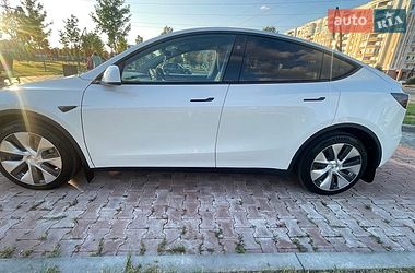Позашляховик / Кросовер Tesla Model Y 2024 в Бучі