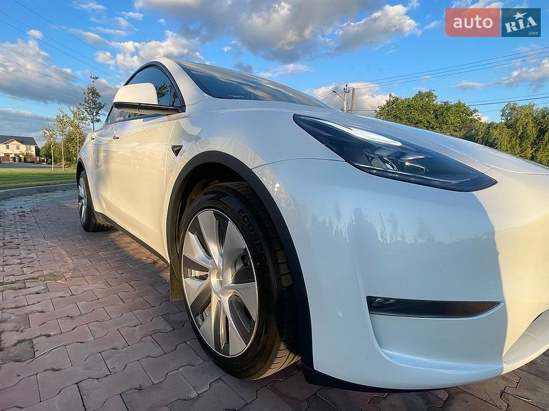Позашляховик / Кросовер Tesla Model Y 2024 в Бучі