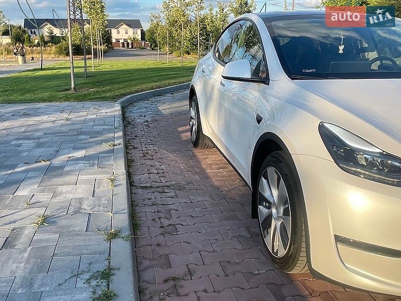 Позашляховик / Кросовер Tesla Model Y 2024 в Бучі