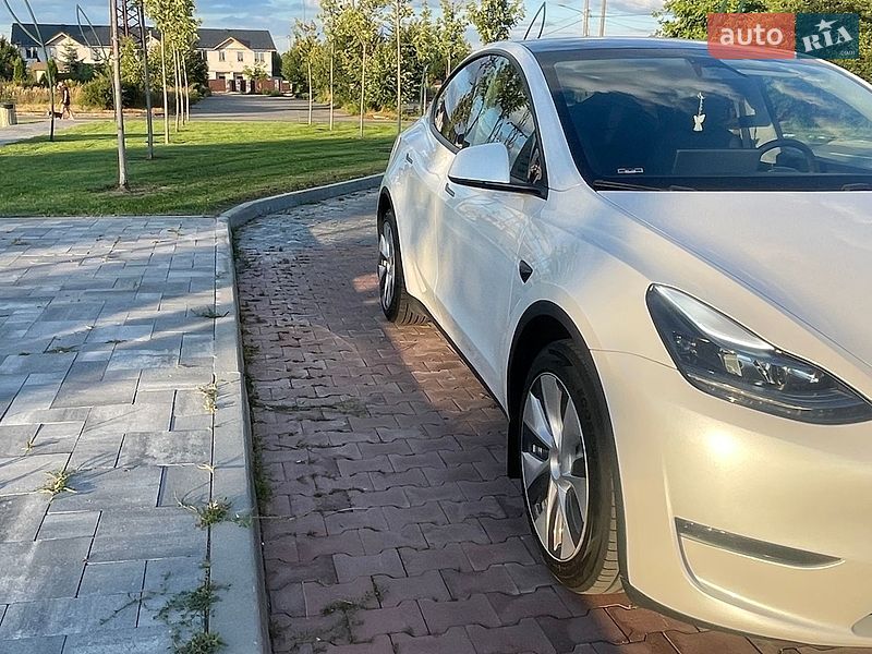 Позашляховик / Кросовер Tesla Model Y 2024 в Бучі