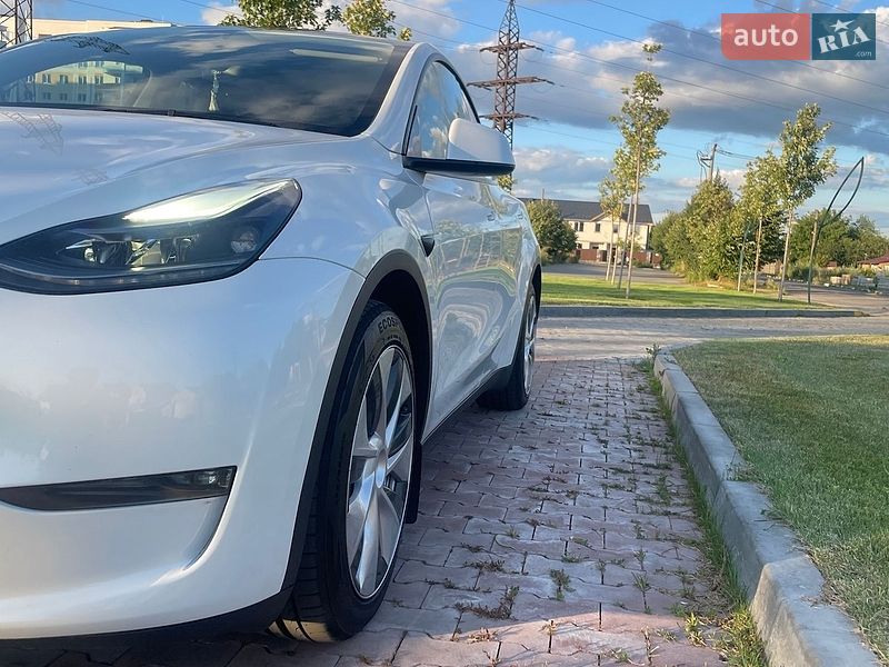 Позашляховик / Кросовер Tesla Model Y 2024 в Бучі
