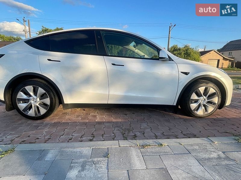 Позашляховик / Кросовер Tesla Model Y 2024 в Бучі