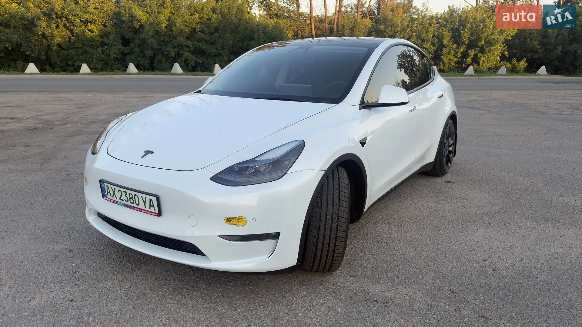 2021 Tesla Model Y - фото 1