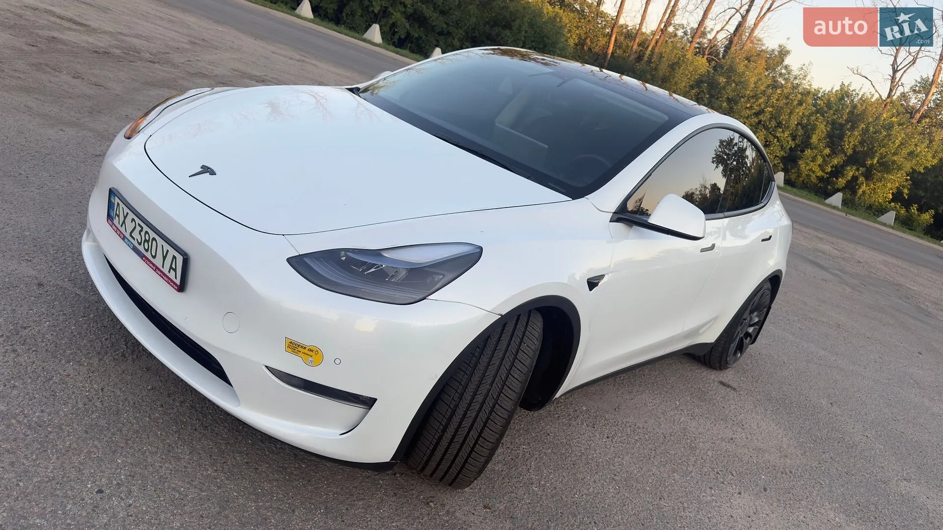 2021 Tesla Model Y - мініатюра 12