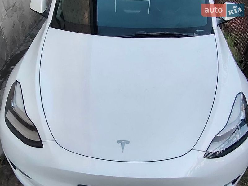 Позашляховик / Кросовер Tesla Model Y 2021 в Києві