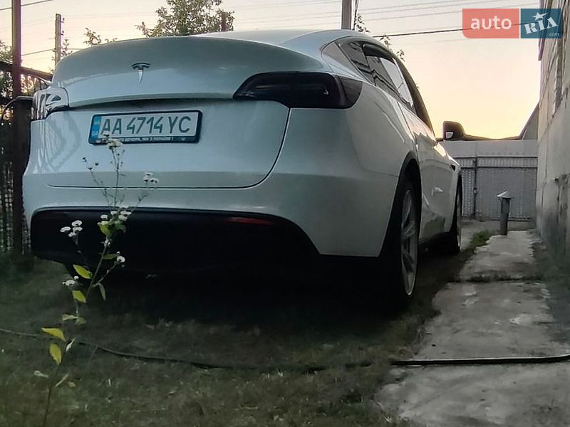 Позашляховик / Кросовер Tesla Model Y 2021 в Києві