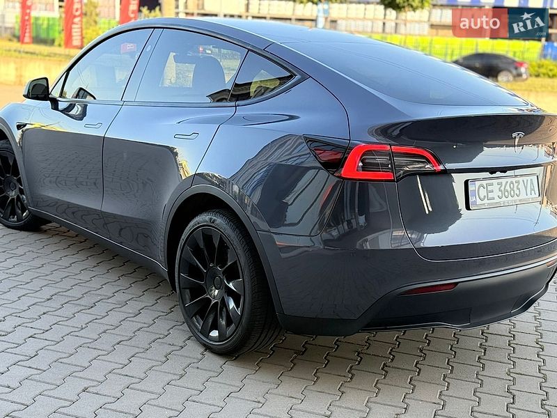 Внедорожник / Кроссовер Tesla Model Y 2023 в Черновцах